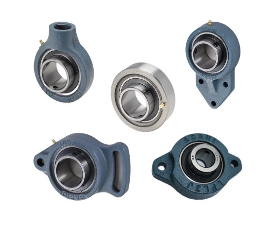 UCFA – UCFK – UCECH – UCC – UKC – BLFL – UP